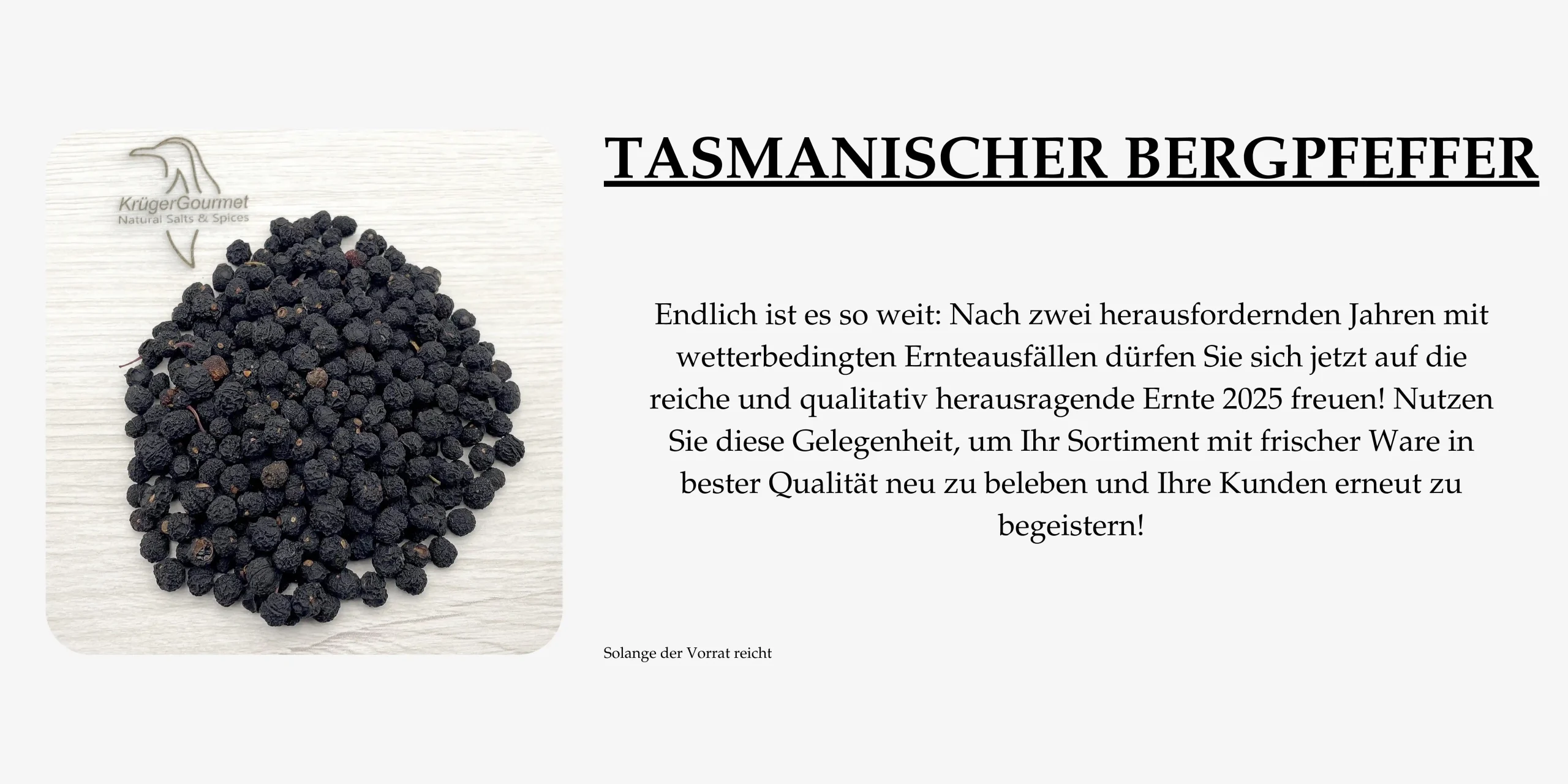 Tasmanischer Bergpfeffer