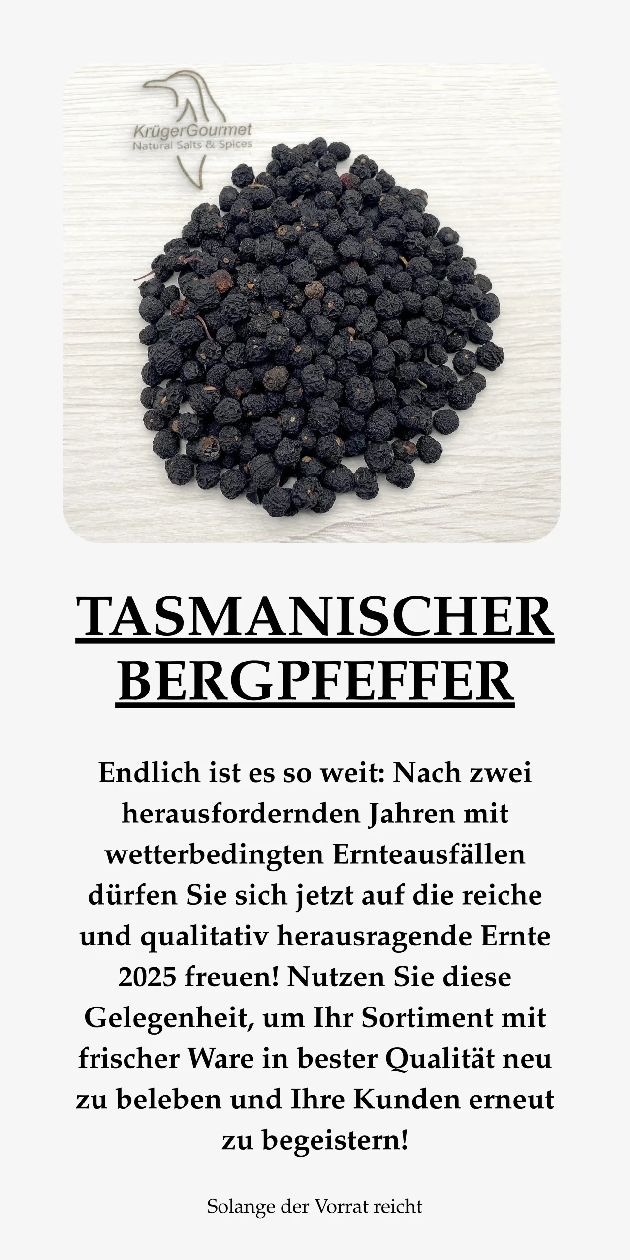 Tasmanischer Bergpfeffer